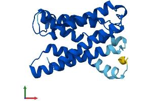 AlphaFold protein structure predicition of Mouse Recombinant Kdelr1 Protein, UniprotID Q99JH8