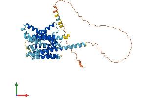 AlphaFold protein structure predicition of Mouse Recombinant Slc35d3 Protein, UniprotID Q8BGF8