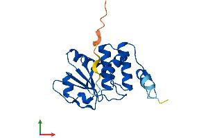 AlphaFold protein structure predicition of Mouse Recombinant Dusp18 Protein, UniprotID Q8VE01