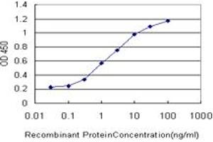 Detection limit for recombinant GST tagged MTF1 is approximately 0. (MTF1 anticorps  (AA 41-140))