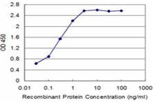 Detection limit for recombinant GST tagged SCML1 is approximately 0.