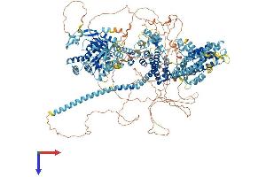 AlphaFold protein structure predicition of Mouse Recombinant Trpm1 Protein, UniprotID Q2TV84