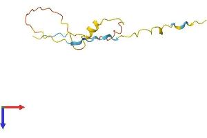 AlphaFold protein structure predicition of Human Recombinant PRM3 Protein, UniprotID Q9NNZ6