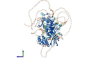 AlphaFold protein structure predicition of Human Recombinant PITPNM1 Protein, UniprotID O00562