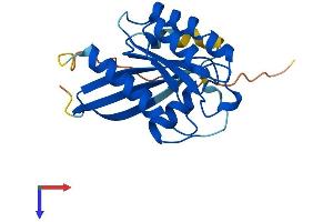 AlphaFold protein structure predicition of Mouse Recombinant Rab1b Protein, UniprotID Q9D1G1