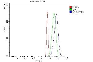 Flow Cytometry analysis of A431 cells using anti-NFIB/NF1B2 antibody (ABIN7602995). (NFIB anticorps  (Middle Region))