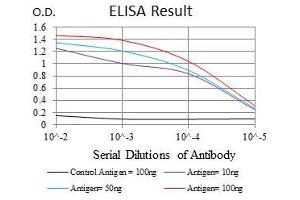 anti-MutS Homolog 6 (E. Coli) (MSH6) antibody