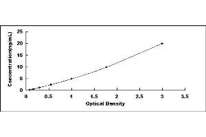 Typical standard curve