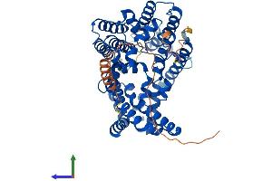 AlphaFold protein structure predicition of Mouse Recombinant Mboat2 Protein, UniprotID Q8R3I2