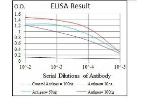 ELISA image for anti-Maternal Embryonic Leucine Zipper Kinase (MELK) antibody (ABIN1108210)