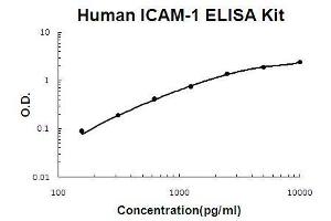 Human ICAM-1 PicoKine ELISA Kit standard curve