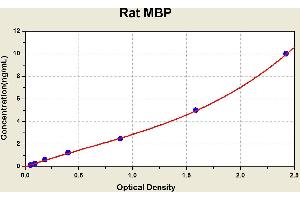 Diagramm of the ELISA kit to detect Rat MBPwith the optical density on the x-axis and the concentration on the y-axis. (MBP Kit ELISA)