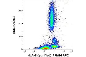 Flow cytometry surface staining pattern of human peripheral blood stained using anti-human HLA-E (3D12) purified antibody (concentration in sample 4 μg/mL) GAM APC.