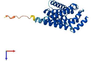 AlphaFold protein structure predicition of Human Recombinant SFN Protein, UniprotID P31947