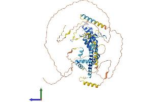 AlphaFold protein structure predicition of Human Recombinant BRD7 Protein, UniprotID Q9NPI1