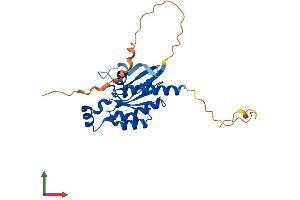 AlphaFold protein structure predicition of Human Recombinant RHOU Protein, UniprotID Q7L0Q8