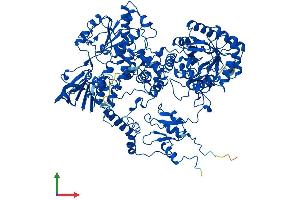 AlphaFold protein structure predicition of Mouse Recombinant Dpyd Protein, UniprotID Q8CHR6