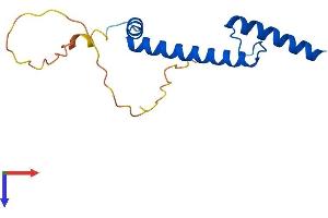 AlphaFold protein structure predicition of Mouse Recombinant Nhlh1 Protein, UniprotID Q02576