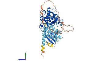 AlphaFold protein structure predicition of Mouse Recombinant Stk25 Protein, UniprotID Q9Z2W1