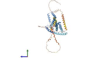 AlphaFold protein structure predicition of Human Recombinant KCNK10 Protein, UniprotID P57789
