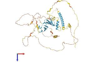 AlphaFold protein structure predicition of Human Recombinant YAP1 Protein, UniprotID P46937
