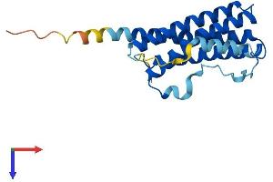 AlphaFold protein structure predicition of Mouse Recombinant Ctf1 Protein, UniprotID Q60753