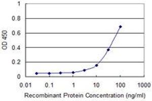 Detection limit for recombinant GST tagged FHIT is approximately 10ng/ml as a capture antibody. (FHIT anticorps  (AA 31-130))