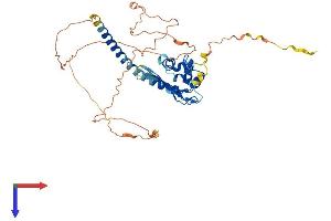AlphaFold protein structure predicition of Mouse Recombinant Tspyl5 Protein, UniprotID Q69ZB3