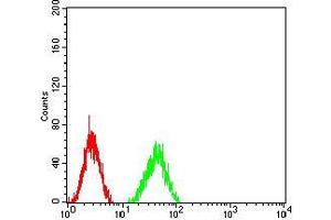 Flow cytometric analysis of HT1080 cells using MMP14 mouse mAb (green) and negative control (red).