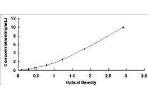 Carnitine Palmitoyltransferase 2 (CPT2) ELISA Kit
