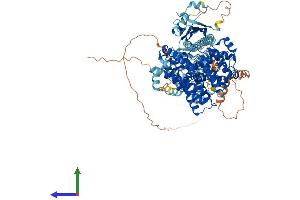 AlphaFold protein structure predicition of Mouse Recombinant Pde11a Protein, UniprotID P0C1Q2