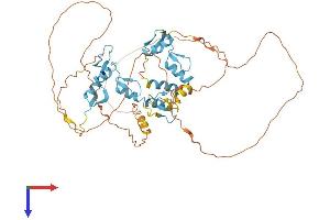 AlphaFold protein structure predicition of Mouse Recombinant Plag1 Protein, UniprotID Q9QYE0