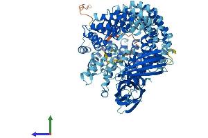AlphaFold protein structure predicition of Mouse Recombinant Copg2 Protein, UniprotID Q9QXK3