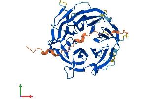 AlphaFold protein structure predicition of Human Recombinant WDR89 Protein, UniprotID Q96FK6