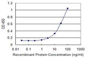 Detection limit for recombinant GST tagged FGGY is 1 ng/ml as a capture antibody. (FGGY anticorps  (AA 1-99))