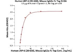 Immobilized Human R-Spondin 1, His Tag (ABIN2181684,ABIN2181683) at 5 μg/mL (100 μL/well) can bind Human LRP-6 (20-630), Mouse IgG2a Fc Tag (ABIN6923175,ABIN6938849) with a linear range of 1-20 ng/mL (Routinely tested).