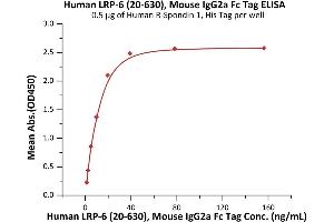 Immobilized Human R-Spondin 1, His Tag (ABIN2181684,ABIN2181683) at 5 μg/mL (100 μL/well) can bind Human LRP-6 (20-630), Mouse IgG2a Fc Tag (ABIN6923175,ABIN6938849) with a linear range of 1-20 ng/mL (Routinely tested). (LRP6 Protein (AA 20-630) (Fc Tag))