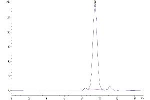 The purity of Mouse TRAIL R2 is greater than 95 % as determined by SEC-HPLC.