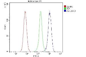 anti-Deoxycytidine Kinase (DCK) (AA 17-260) antibody