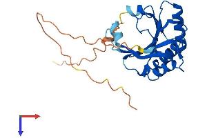AlphaFold protein structure predicition of Human Recombinant EIF4E2 Protein, UniprotID O60573