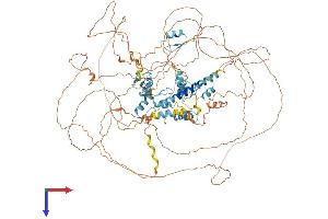 AlphaFold protein structure predicition of Human Recombinant SALL2 Protein, UniprotID Q9Y467