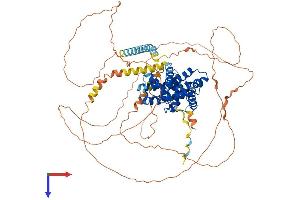 AlphaFold protein structure predicition of Human Recombinant CCNT1 Protein, UniprotID O60563