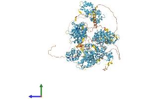 AlphaFold protein structure predicition of Human Recombinant EFCAB6 Protein, UniprotID Q5THR3