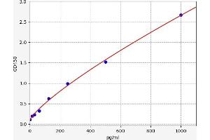 Thymic Stromal Lymphopoietin (TSLP) ELISA Kit