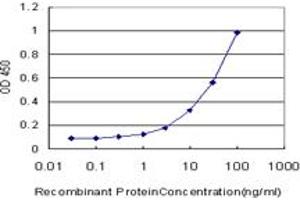 Detection limit for recombinant GST tagged VRK2 is approximately 1ng/ml as a capture antibody.