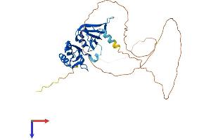 AlphaFold protein structure predicition of Human Recombinant HNRNPA2B1 Protein, UniprotID P22626