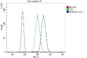 Flow Cytometry analysis of U937 cells using anti-HOMER3 antibody (ABIN7601092).