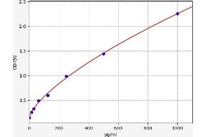 Chemokine (C-C Motif) Ligand 7 (CCL7) ELISA Kit