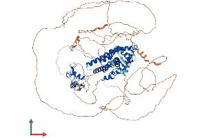 AlphaFold protein structure predicition of Human Recombinant PGR Protein, UniprotID P06401