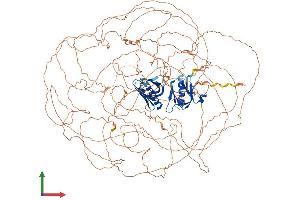 AlphaFold protein structure predicition of Mouse Recombinant Irs2 Protein, UniprotID P81122